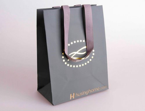 Elizabeth Lock Shopping Bag With Ribbon